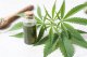 CBD Öl und Samen